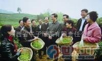 批發(fā)中國生物農(nóng)業(yè)有機(jī)綠茶科技開發(fā)項(xiàng)目融資_食品、飲料_世界工廠網(wǎng)中國產(chǎn)品信息庫