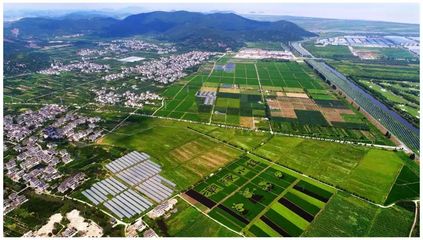總面積8.5萬(wàn)畝!海寧農(nóng)業(yè)經(jīng)濟(jì)開發(fā)區(qū)成立!