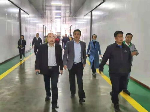 深化南北合作，共拓農(nóng)業(yè)新篇——東莞市河南商會赴黑龍江商務(wù)考察紀(jì)實